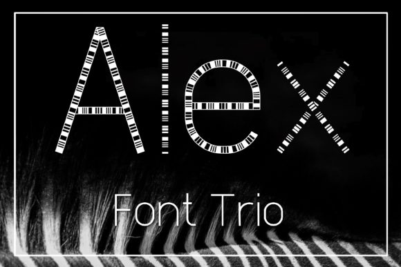 Alex Font: A Simple Touch for Polished Branding