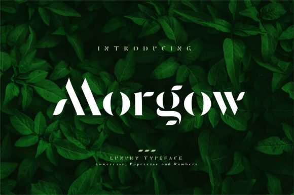 How Morgow Can Elevate Your Brand with a Timeless Display Font